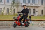 RDB Scuter Electric RDB ROMA 600W fara permis 25km/h albastru inchis (RDB-ROMA-Albastru-inchis) - agropro
