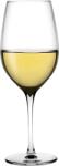Nude Pahare cu picior pentru vin alb Terroir 430 ml 2 buc (1080814) Pahar