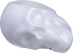 Nude Bol Memento Mori craniu 24 cm alb (1076780) Castron