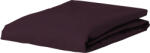 Essenza Cearșaf cu elastic The Perfect Organic Jersey 200 x 200 cm vișiniu închis (409587-103-027)