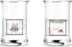 Holmegaard Pahare cu picior Holmegaard Christmas 2024 2 buc (4800561) Pahar