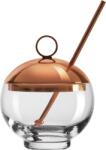 Nude Pahar pentru băuturi alcoolice Hepburn Alchemy cu pai și capac (1101420) Pahar