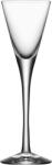 Orrefors Pahare pentru șampanie More 70 ml 2 buc (6310153) Pahar