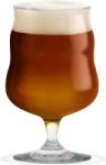 Holmegaard Pahare pentru bere Mikkeller 2 buc (4300542) Pahar