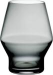 Nude Pahare Beak 350 ml fumurii 2 buc (1091934) Pahar