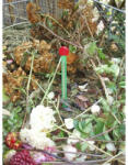 Nature Komposzt thermometer 32cm