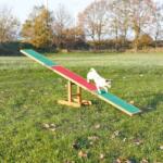 TRIXIE Dog Sport - Rampă pentru agilitate (Suportă până la 80 kg; 300 x 54 x 34 cm) (3213)