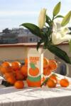 Fluid Market Декоративна ваза Orange Juice (AAVSEOJ)