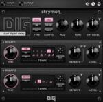 Strymon DIG (Дигитален продукт)