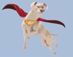 Zuty Picturi pe numere Flying Krypto (DC League Of Super-Pets) (M10-050-040-606372) Carte de colorat