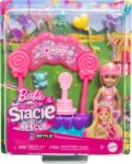 Mattel BARBIE CHELSEA STACIE Suport pentru acadele HRM07 Papusa Barbie