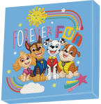  DOTZIES Paw Patrol (DBX084)
