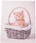 4-Home Kittie in basket vászonkép, 30 x 40 cm