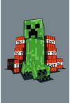Jerry Fabrics Minecraft TNT gyerek Fleece takaró, 100 x 150 cm
