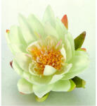 Ubbink Selyemvirág, krémszínű tavirózsa, 16 cm - automataontozorendszer