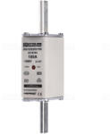 Mersen NH-1 100A Mersen aM 371810 NH1AM50V100 (D232510C)