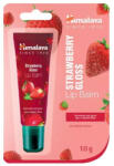 Himalaya Himalaya ajakbalzsam tubosos (epres) 10g