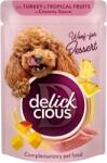 Delickcious DELICKCIOUS, Bucati de carne de curcan si fructe tropicale in sos cremos, pentru caini, 80g