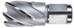 ALFRA Carota HSS ALFRA, prindere Weldon 3/4" (19mm), 44x30mm (1907044025) - constructii-mag
