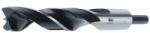 Fisch Burghiu pentru lemn Fisch, cilindrica, 22x160/210mm (1202200) Burghiu