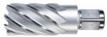 ALFRA Carota HSS ALFRA, prindere Weldon 3/4" (19mm), 24x50mm (1907024050) - constructii-mag
