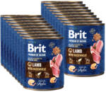 Brit Brit Premium By Nature Bárány hajdina 18x800g