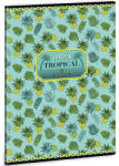 Ars Una Yellow Pineapple sima füzet 40 lapos A/4 (93808699) - jatekshop