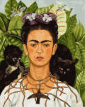 iPicasso Set pictura pe numere, cu sasiu, Autoportret cu colier de Spini - Frida Kahlo, 40x50 cm (PC4050670)