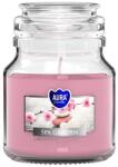 BISPOL Ароматна свещ Bispol Aura - Spa Garden, 120 g (snd71-254)