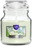 BISPOL Ароматна свещ Bispol Aura - Blooming Jasmine, 120 g (snd71-169)