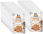 Brit BRIT CARE Cat Kitten Fillets in Gravy with Savory Salmon Enriched with Sea Buckthorn and Nasturtium 24x85g