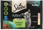 Sheba Kitten Vegyes válogatás tasak szószban 6 x (4 x 85 g)