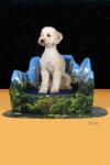 United Pets Легло за домашен любимец United Pets New York x Seletti (SE5102NY)