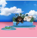 United Pets Легло за домашен любимец United Pets Maldives x Seletti (SE5102MA)