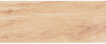 Zalakerámia Zbd53004 Albero 20x50 Csempe (zbd53004)