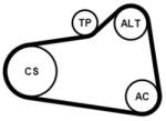 Continental Ctam hosszbordás szíj készlet CONTINENTAL CTAM 6PK905 EXTRA K1 for CITROËN, PEUGEOT (6PK905 EXTRA K1)