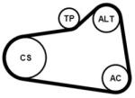 Continental Ctam hosszbordás szíj készlet CONTINENTAL CTAM 6PK905 EXTRA K1 for CITROËN, PEUGEOT, MINI, DS (6PK905 EXTRA K1)