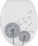 WENKO Capac WC cu închidere lentă Wenko Astera, 45 x 37, 5 cm