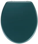 WENKO Capac WC Wenko, 38 x 41 cm, verde