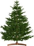 CASARIA Brad de Crăciun artificial FROST, 180 cm, verde