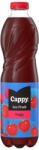 Cappy Ice Fruit Meggy 10% 1.5l 6/# DRS