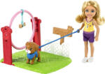 Mattel Papusa Barbie Club Chelsea, Dresoare de caini (GTN62) Papusa Barbie