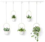 Umbra Ghiveci decorativ 5 buc. din plastic pentru ierburi aromatice/suspendată și de perete ø 7, 5 cm Triflora - Umbra - bonami - 343,20 RON