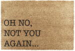 Artsy Mats Covoraș de intrare din fibre de nucă de cocos 40x60 cm Oh No Not You Again - Artsy Doormats Pres