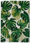 Think Rugs Covor verde închis 80x150 cm Havana - Think Rugs Covor
