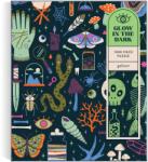 Galison Occult and Curious világító puzzle 1000 db-os (82534)