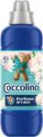 Coccolino öblítő koncentrátum 37 mosás 925 ml Water Lily&Pink Grapefruit