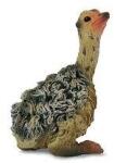 CollectA Pui de strut - asezat (M1188460) Figurina