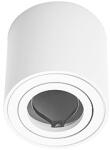 LED Labs Falon kívüli spot lámpatest OREA, henger, billenthető, fehér (GU10) (MG-OREA-NSRO-B (20-2110-30))