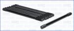 AJUSA Set surub, chiulasa AJUSA 81048300 (81048300)